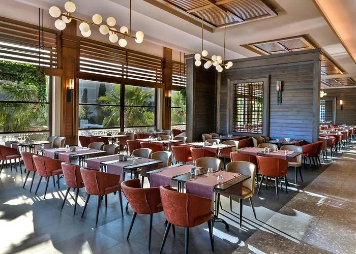 Swandor & - Topkapi Palace