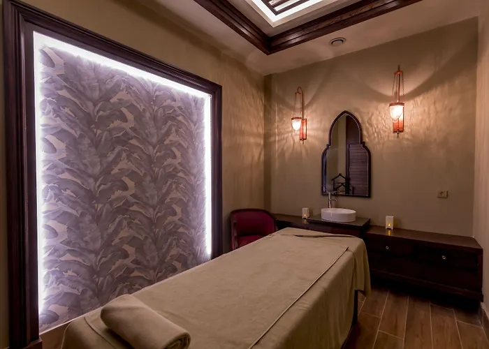 Swandor & - Topkapi Palace Station touristique